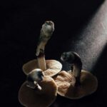 Featured image placeholder 16:9