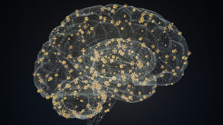 EEG-guided TMS optimization