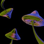 Featured image placeholder 16:9