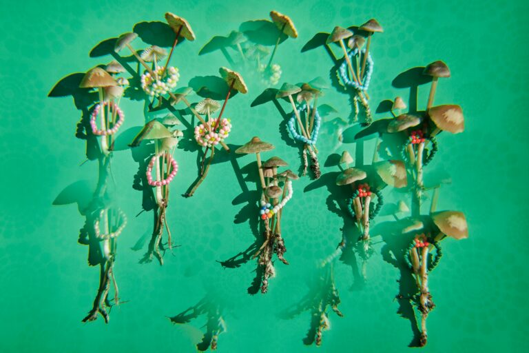 53% Reached Remission After Psilocybin