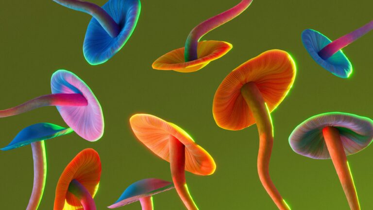 Psychedelic Therapy For Trauma