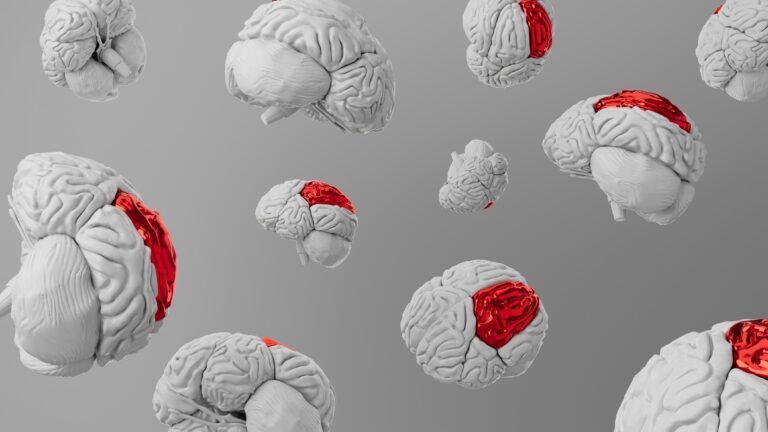 The Brain’s Sense of Control Can Be Altered