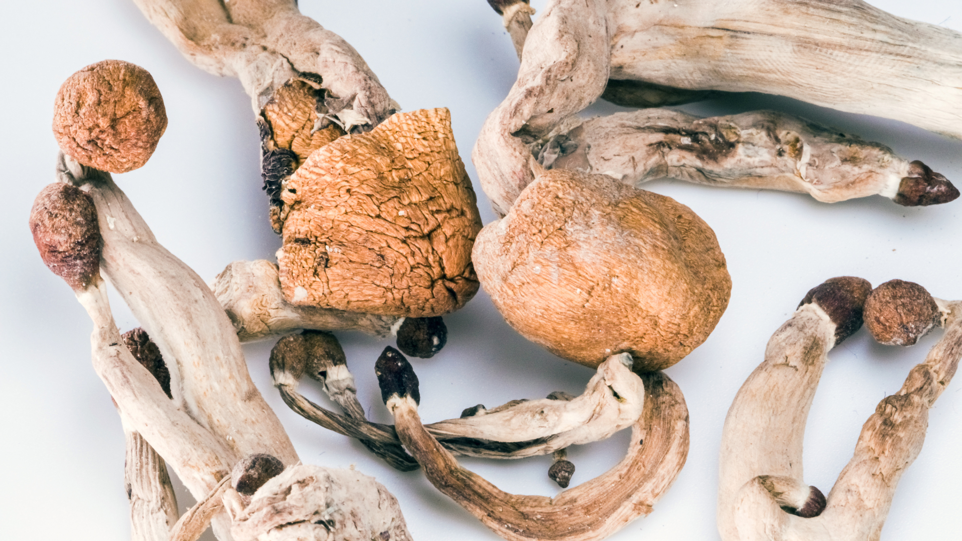 Psychedelic Depression Treatments