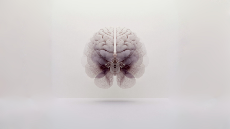 Study Suggests Brain State Influences TMS Response