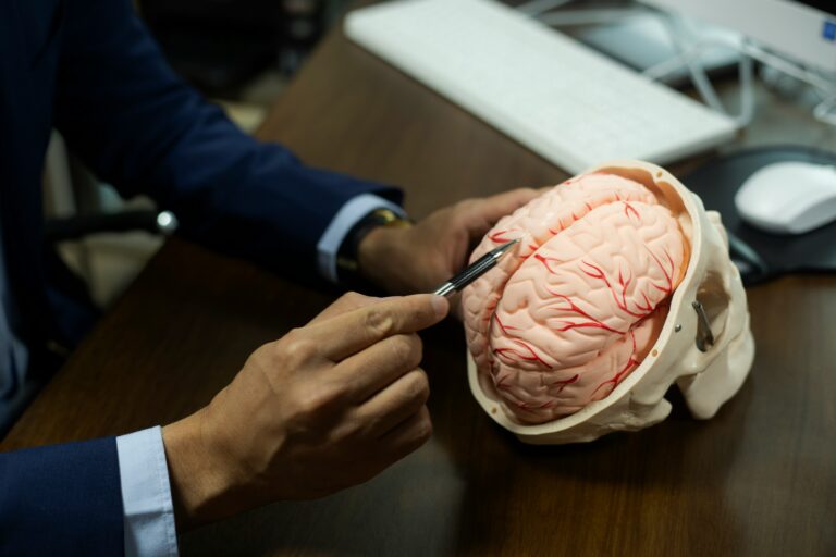 Deep Brain Stimulation Panic Networks