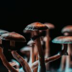 Featured image placeholder 16:9