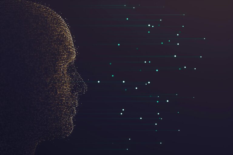Default Mode Network On Psychedelics
